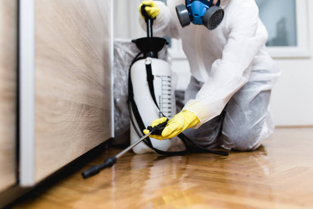Best Residential Pest Control  in Baileyton, AL