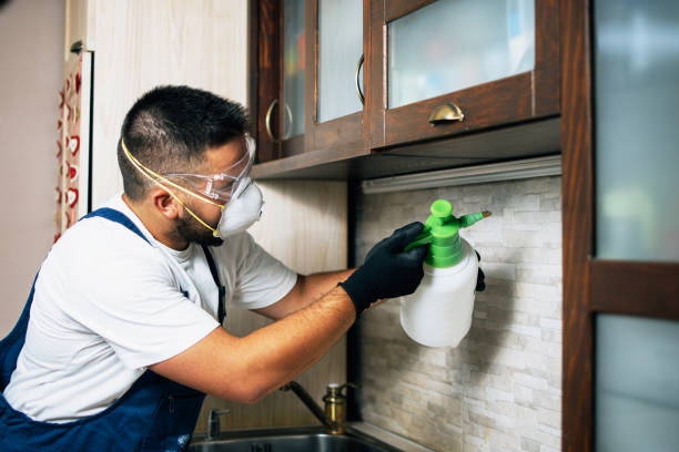 Best Ant Control Services  in Baileyton, AL