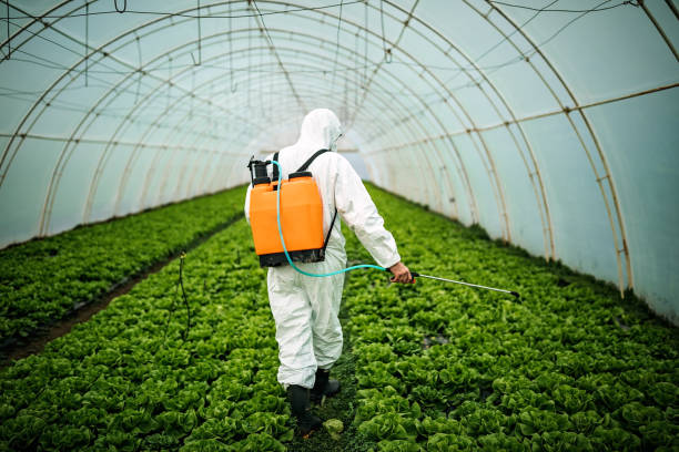 Best Residential Pest Control  in Baileyton, AL