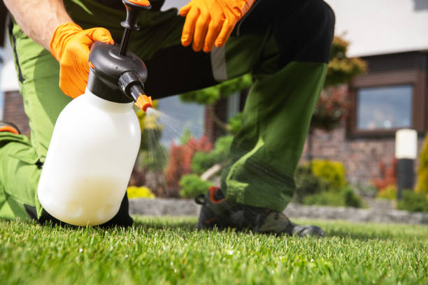 Best Termite Control Services  in Baileyton, AL