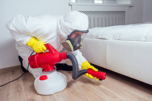 Best Pest Prevention Services  in Baileyton, AL