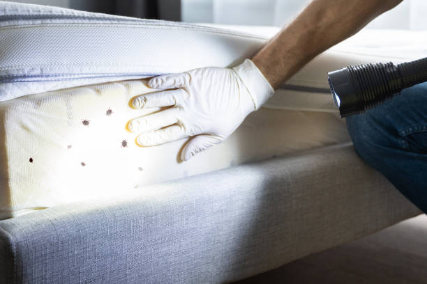 Best Wildlife Control Services  in Baileyton, AL