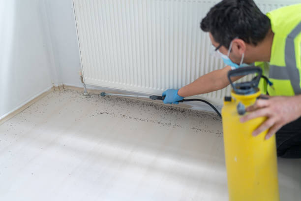 Best Best Pest Control Companies  in Baileyton, AL