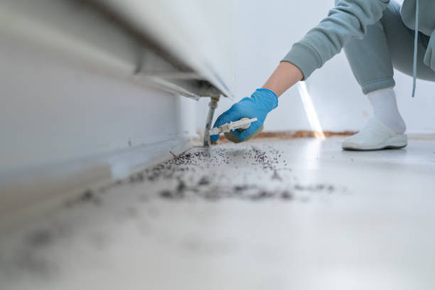 Best Wasp Removal Services  in Baileyton, AL