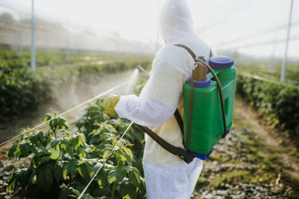 Pest Control for Restaurants in Baileyton, AL